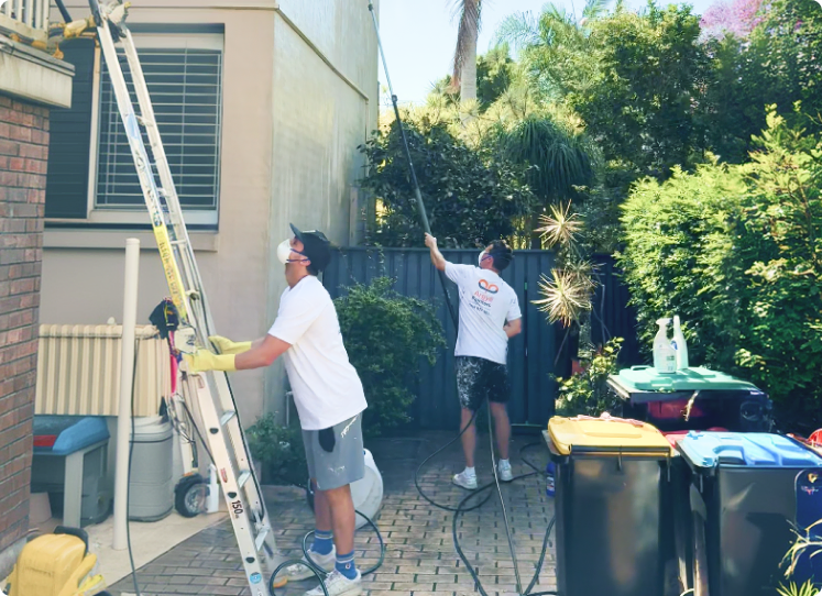 House Washing Image